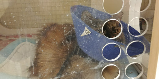 Pet Supply Store «Petco», reviews and photos, 590 E Waterfront Dr, Homestead, PA 15120, USA