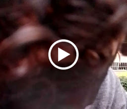 SUGAR'S table dance photo