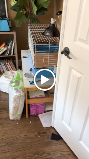 House Cleaning Service «The Maids», reviews and photos, 11034 Shady Trail #116, Dallas, TX 75229, USA