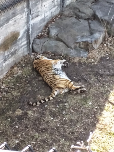 Amusement Park «Como Town», reviews and photos, 1301 Midway Pkwy, St Paul, MN 55103, USA