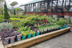 Oderings Garden Centre Christchurch - Yaldhurst