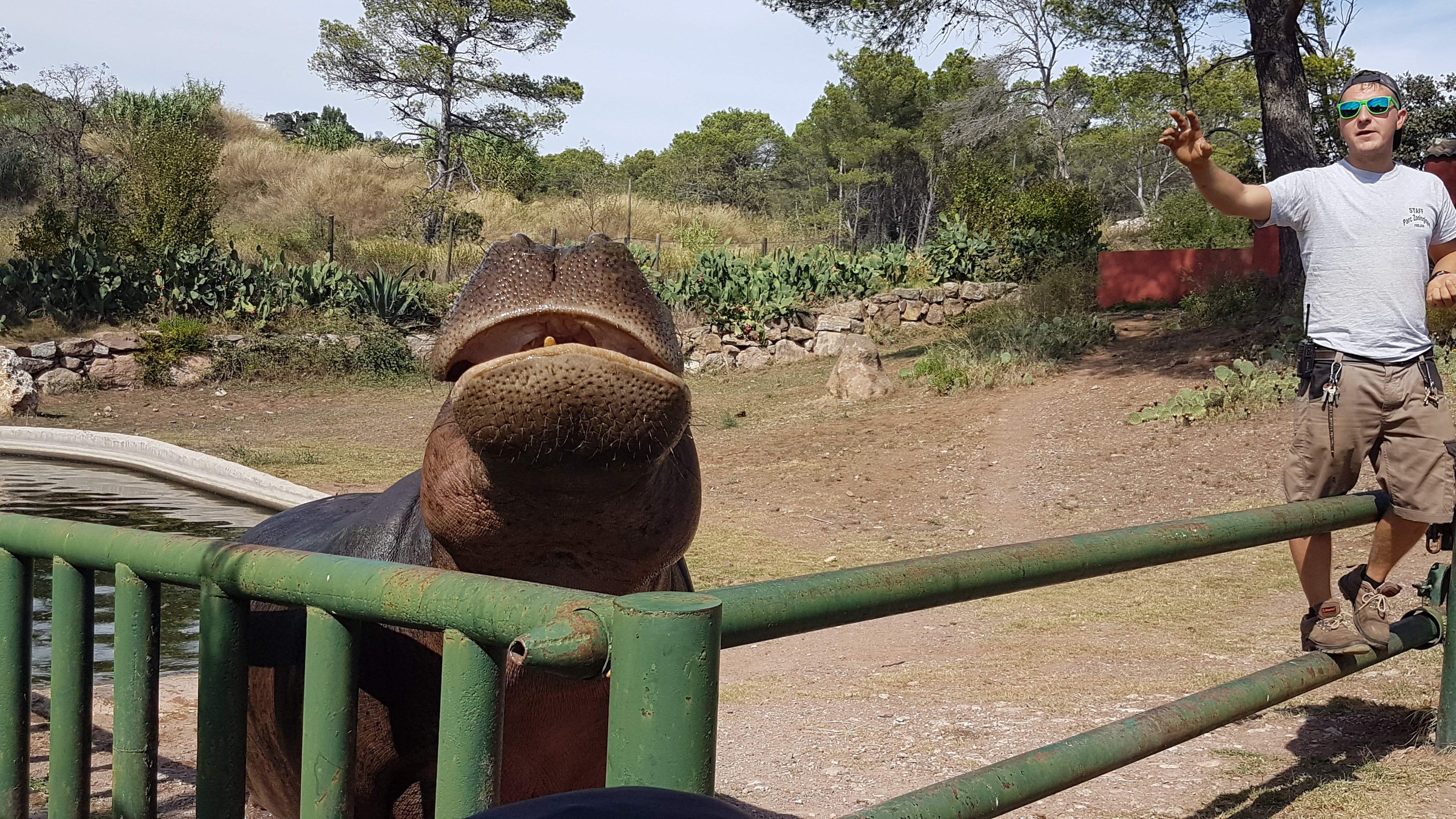 Photo n° 35 de l'avis de Armand.A fait le 09/09/2018 à 19:52