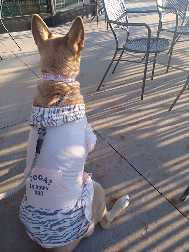 Pet Supply Store «PetSmart», reviews and photos, 131 Highlands Blvd Dr, Manchester, MO 63011, USA