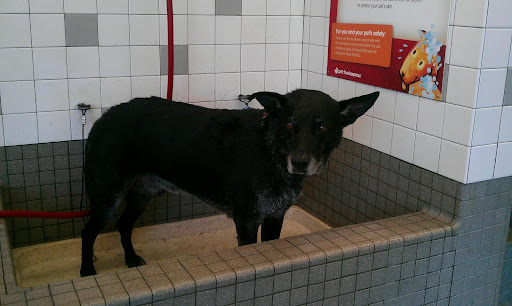 Pet Supply Store «Pet Food Express», reviews and photos, 5148 Stevens Creek Blvd, San Jose, CA 95129, USA