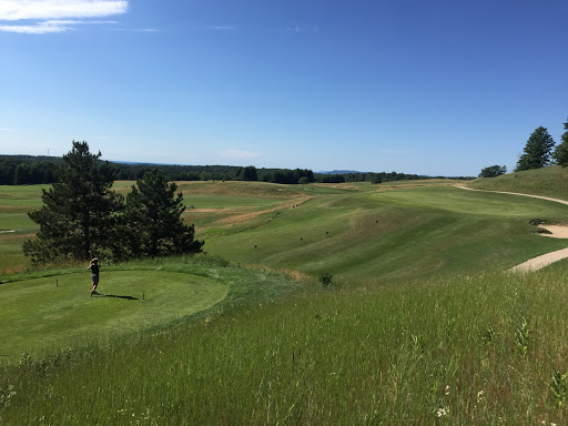 Golf Course «Champion Hill Golf Course», reviews and photos, 501 N Marshall Rd, Beulah, MI 49617, USA