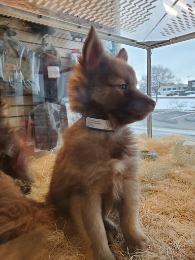Pet Store «Perfect Pets», reviews and photos, 6840 S University Blvd #410, Centennial, CO 80122, USA