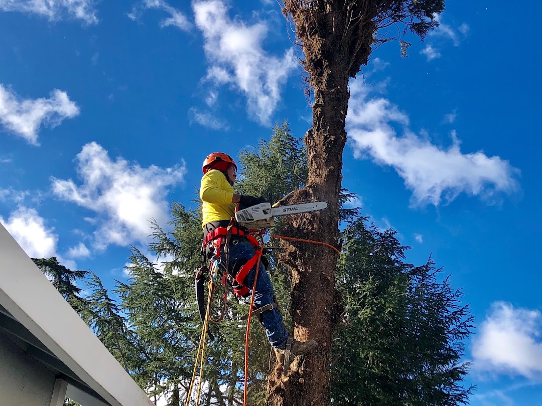 Nice View Tree Care
