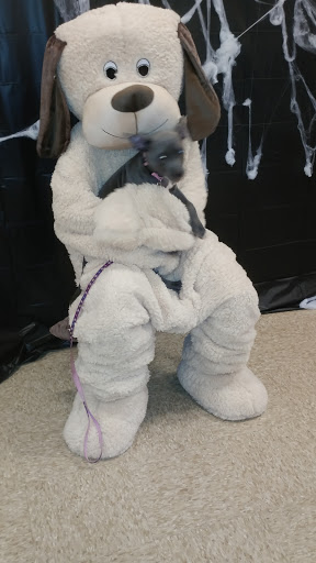 Pet Supply Store «PetSmart», reviews and photos, 4005 Airport Fwy, Irving, TX 75062, USA