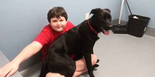 Pet Supply Store «Petco Animal Supplies», reviews and photos, 6137 Mid Rivers Mall Dr, St Charles, MO 63304, USA