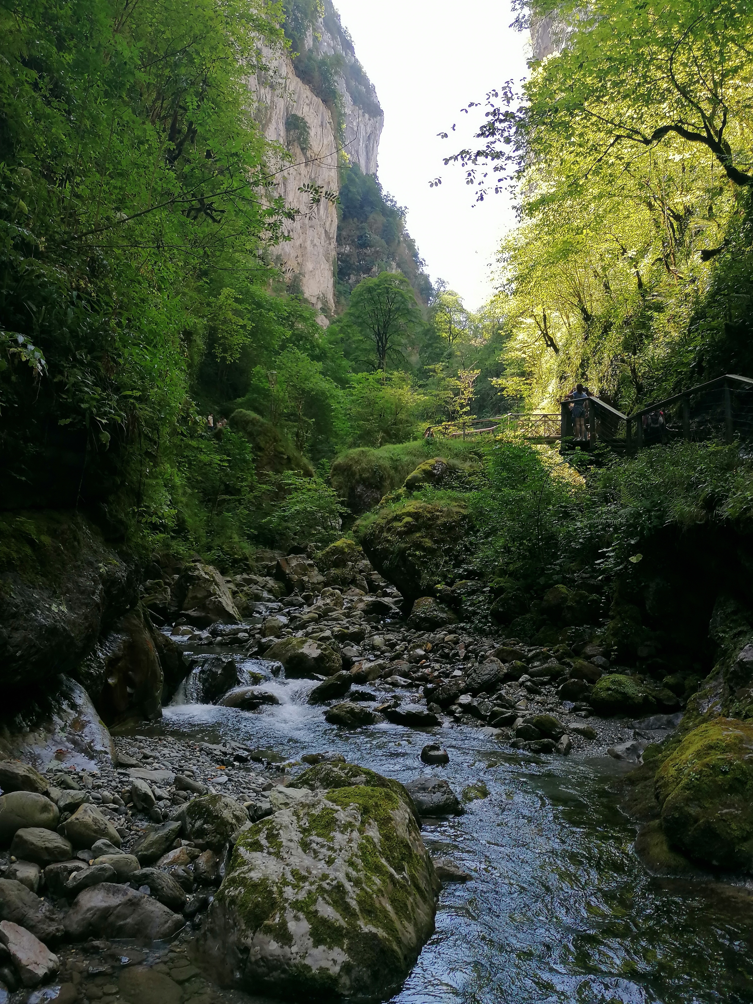 Photo n° 23 de l'avis de Dex.� fait le 23/07/2020 à 19:02