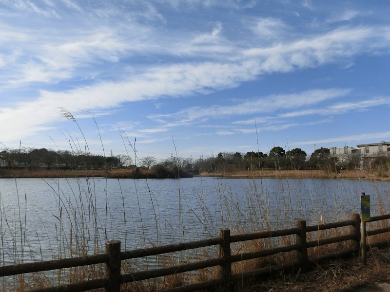 柏の葉第2水辺公園