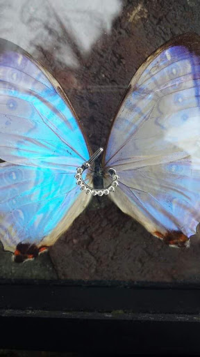 Tattoo Shop «The Edge Tattoo», reviews and photos, 986 Sullivan Ave, South Windsor, CT 06074, USA