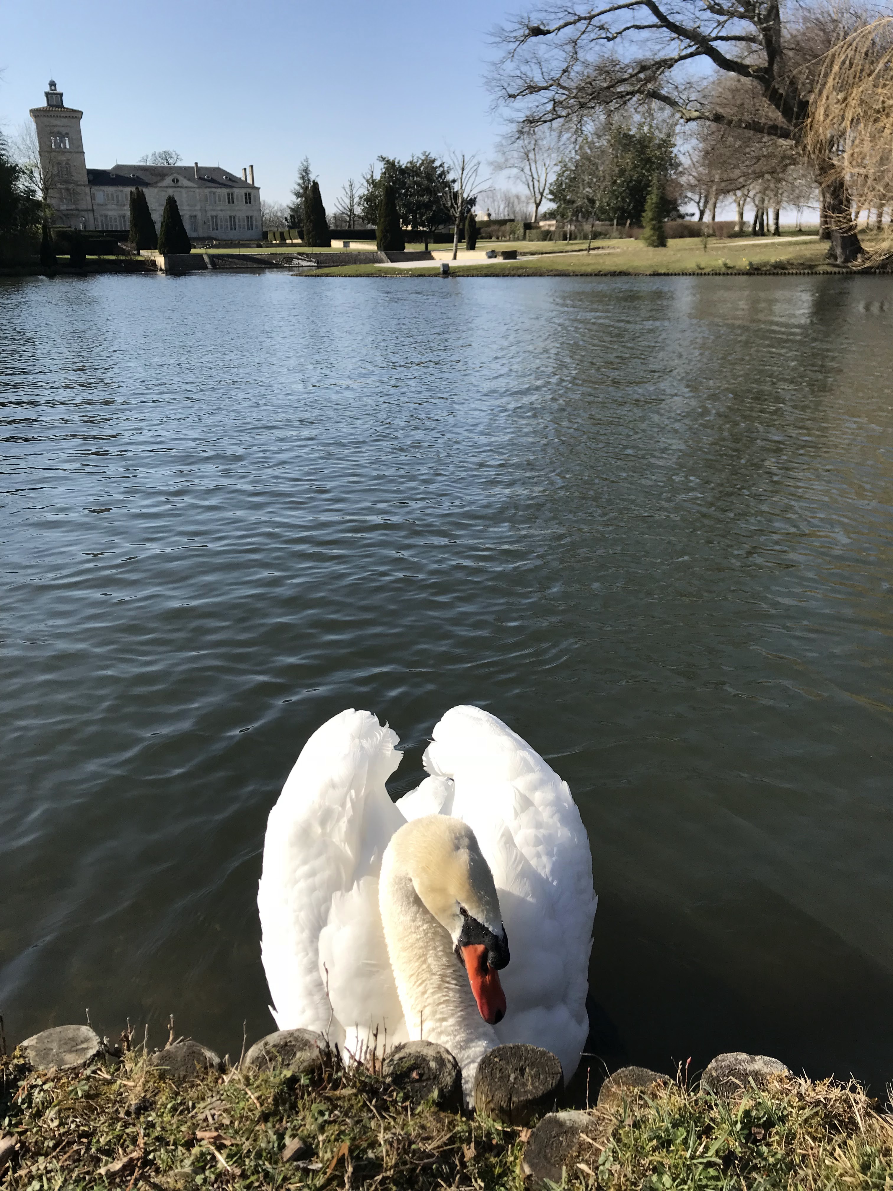 Photo n° 1 de l'avis de toshitsugu.A fait le 09/06/2018 à 16:14