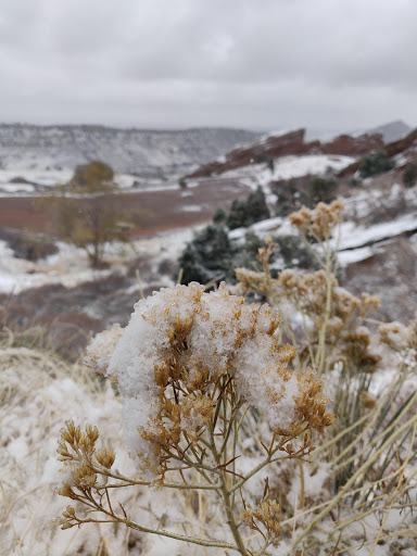 Golf Club «Bear Creek Golf Club», reviews and photos, 12201 Morrison Rd, Denver, CO 80228, USA