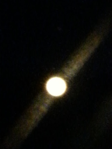 Self-Storage Facility «American Classic Self Storage - Oyster Point», reviews and photos, 300 Bell King Rd, Newport News, VA 23606, USA