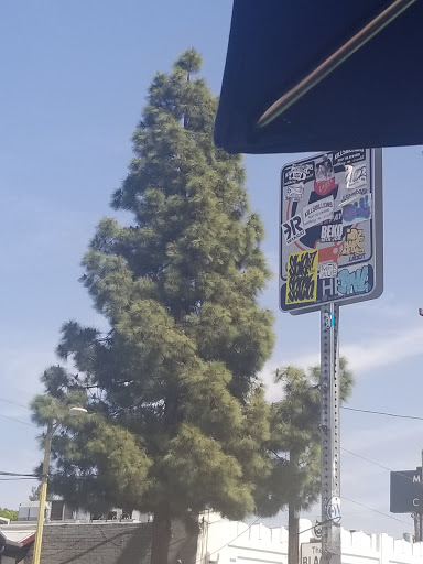 Coffee Shop «Intelligentsia Coffee Silver Lake Coffeebar», reviews and photos, 3922 Sunset Blvd, Los Angeles, CA 90029, USA