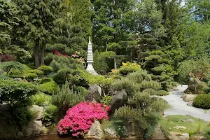 Ogród japoński image