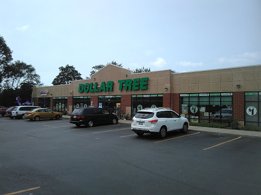 Dollar Store «Dollar Tree», reviews and photos, 918 E New York St #130, Aurora, IL 60505, USA