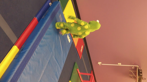 Gymnastics Center «The Little Gym of Fenton», reviews and photos, 18 Fenton Plaza, Fenton, MO 63026, USA