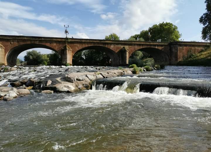 Photo n° 28 de l'avis de Gérard.e fait le 10/07/2023 à 17:30