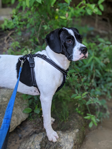 Park «Jones Bridge Park», reviews and photos, 4901 E Jones Bridge Rd, Peachtree Corners, GA 30092, USA