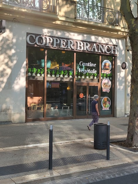 Copper Branch Nîmes à Nîmes