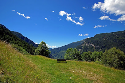 Azienda Refontana - Ferien auf dem Biohof in Braggio