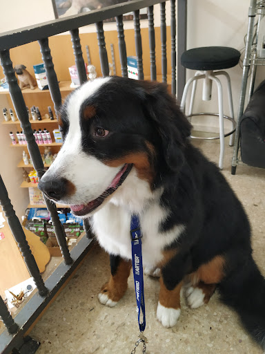 Tot Pinso en Vilassar de Mar, Barcelona