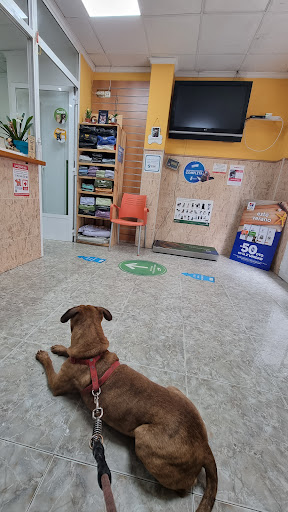 Isabel Solaz Centro Veterinario en Valencia