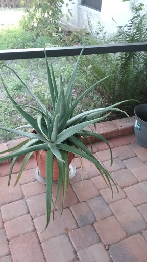 Marina «Fort Pierce City Marina», reviews and photos, 1 Avenue A, Fort Pierce, FL 34950, USA