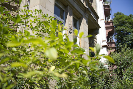Life & Business Coaching Academy Scheffelstraße 13, 60318 Frankfurt am Main, Germany