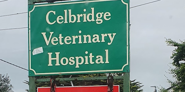 Celbridge Veterinary Centre