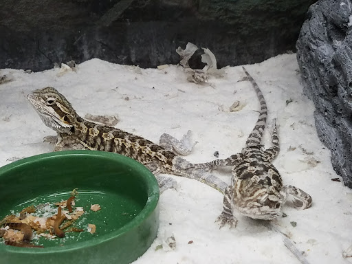 Pet Supply Store «Petco Animal Supplies», reviews and photos, 10 Sylvan St, Peabody, MA 01960, USA