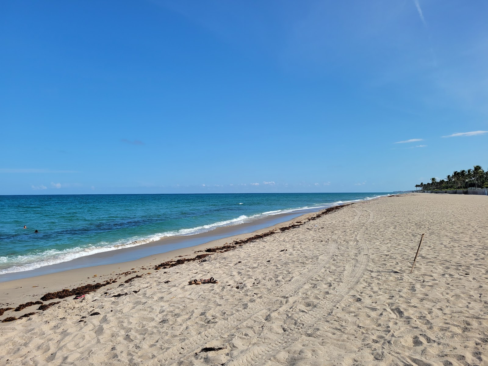 Foto de Palm Island beach com areia brilhante superfície