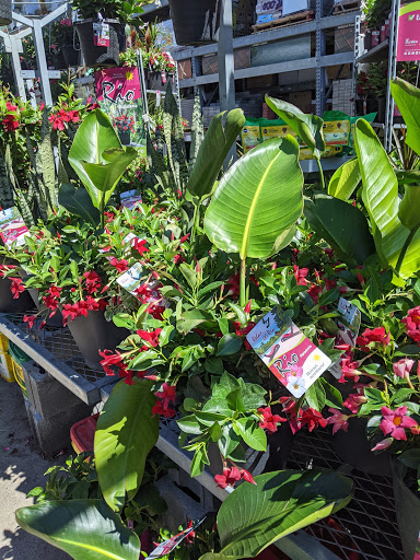 Home Improvement Store «The Home Depot», reviews and photos, 782 PA-113, Souderton, PA 18964, USA