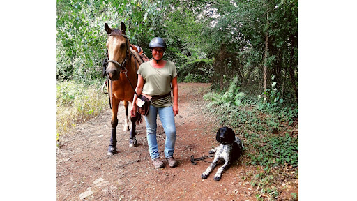 Tierphysiotherapie Sabine Schwarz unter Maßweiler, Rheinland-Pfalz