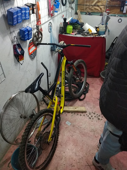 Osito bike store