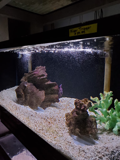 Tropical Fish Store «Marine Oasis», reviews and photos, 5340 W Ridge Rd, Spencerport, NY 14559, USA