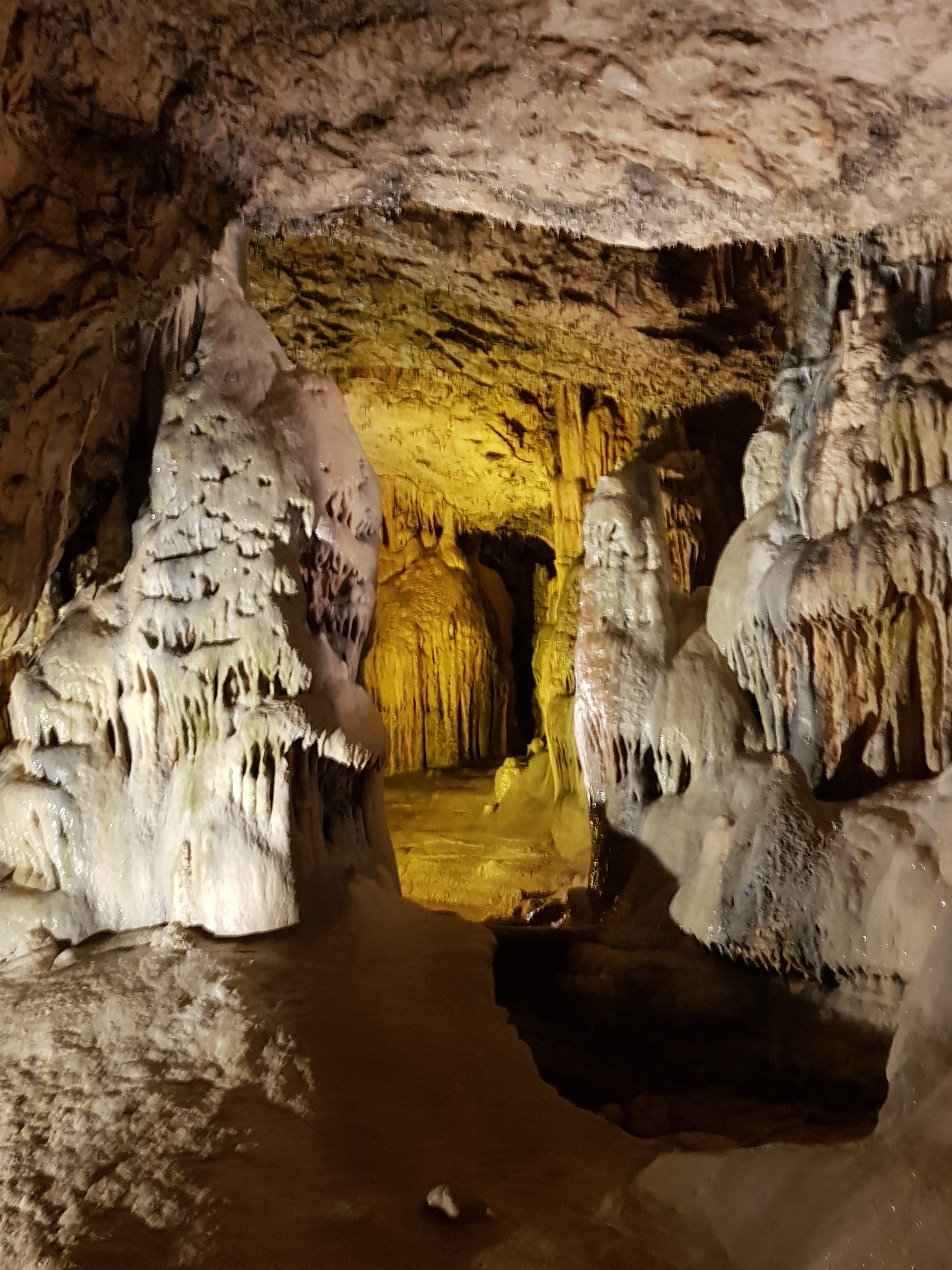 Photo n° 32 de l'avis de Jan.o fait le 05/06/2019 à 17:42