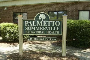 Palmetto Summerville Behavioral Health image