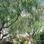 Photo n°6 de l'avis de Giulia16. fait le 04/09/2022 à 11:41 sur le  Ristorante Arco Antico - Ginosa/Marina di Ginosa à Ginosa