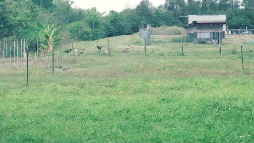 Animal Feed Store «Brevard Farm & Ranch Supply», reviews and photos, 137 Clearlake Rd, Cocoa, FL 32922, USA