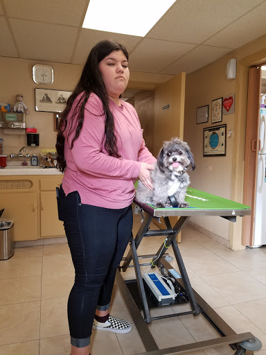 Downey Veterinary Hospital image