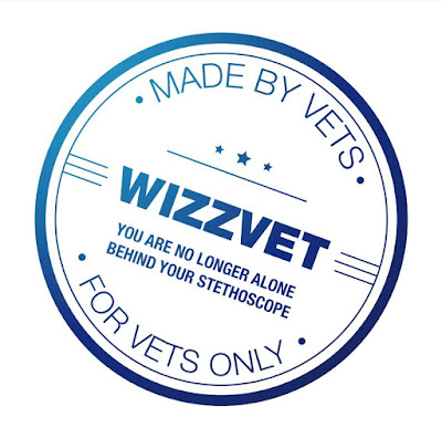 Wizzvet, Plateforme de télémédecine vétérinaire et de webconférences à Strasbourg