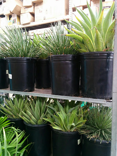 Home Improvement Store «The Home Depot», reviews and photos, 100 1st Ave, Waltham, MA 02451, USA