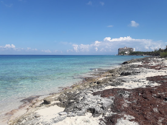 Playa las Rocas