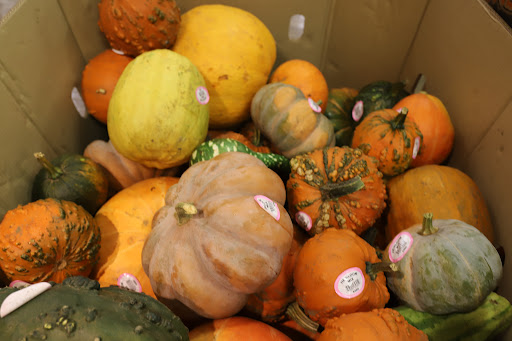 Grocery Store «Food Lion», reviews and photos, 377 W Jackson St, Cookeville, TN 38501, USA