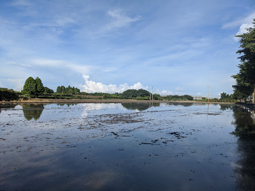 福鮮城 的照片