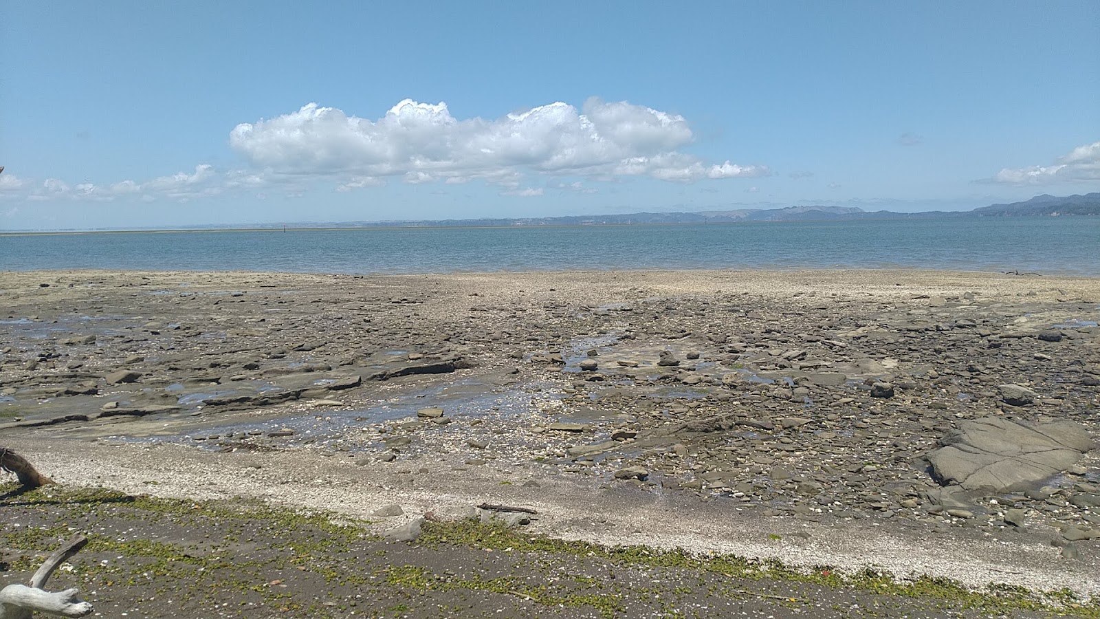 Manukau Beach'in fotoğrafı vahşi alan