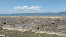 Manukau Beach'in fotoğrafı vahşi alan